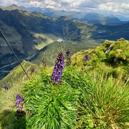 Apartament Bergtime *