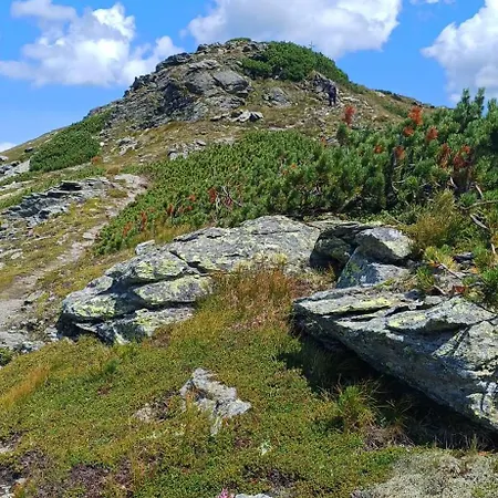 Bergtime Apartament *