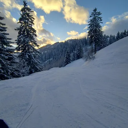 Bergtime Apartament *