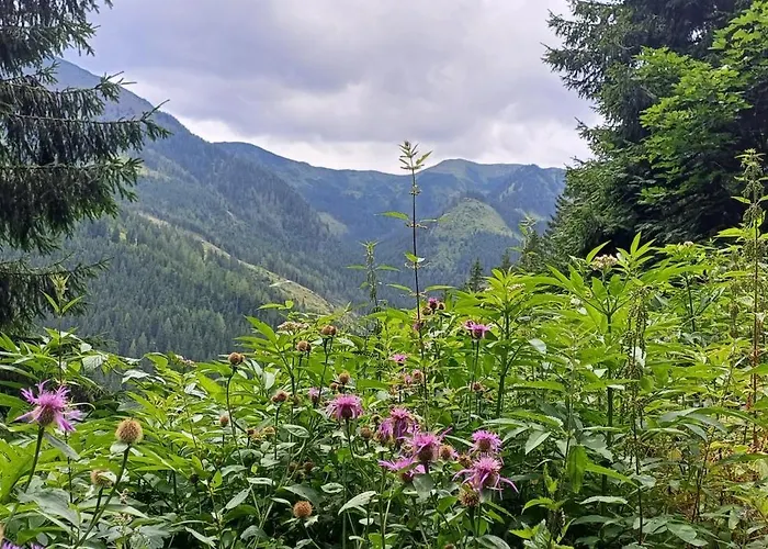 Apartamento Bergtime