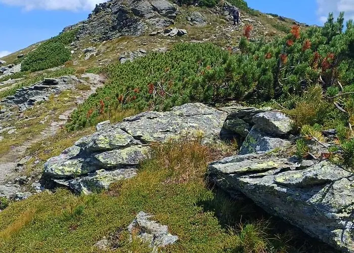 Bergtime Apartment *