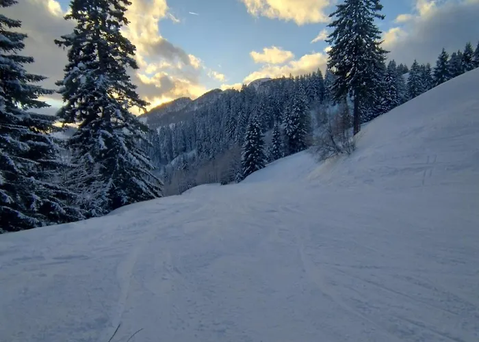 Bergtime Apartamento *